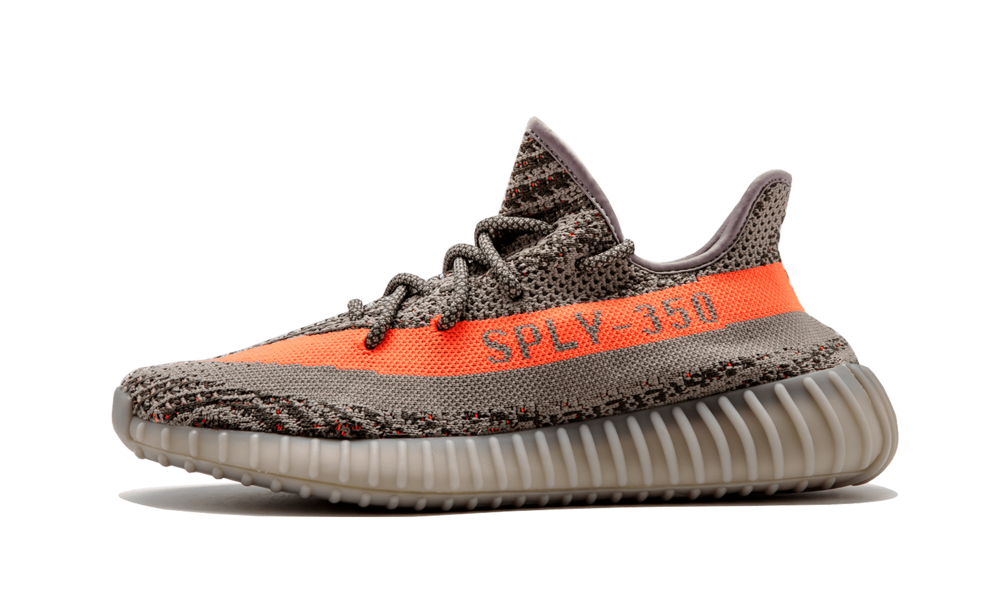 shoe